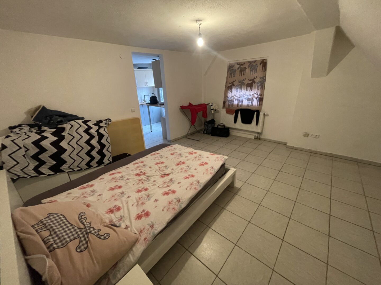 20241023_090635324_iOS